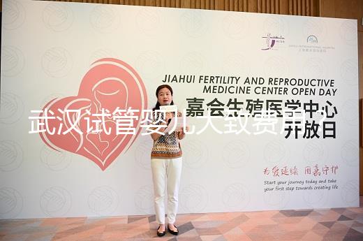 武漢試管嬰兒大致費用？