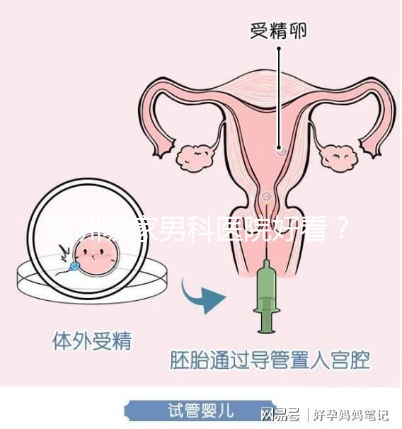 株洲哪家男科醫院好看?這位醫生的專業成本還很低