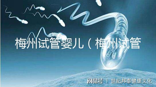 梅州試管嬰兒（梅州試管嬰兒醫院排名最好）