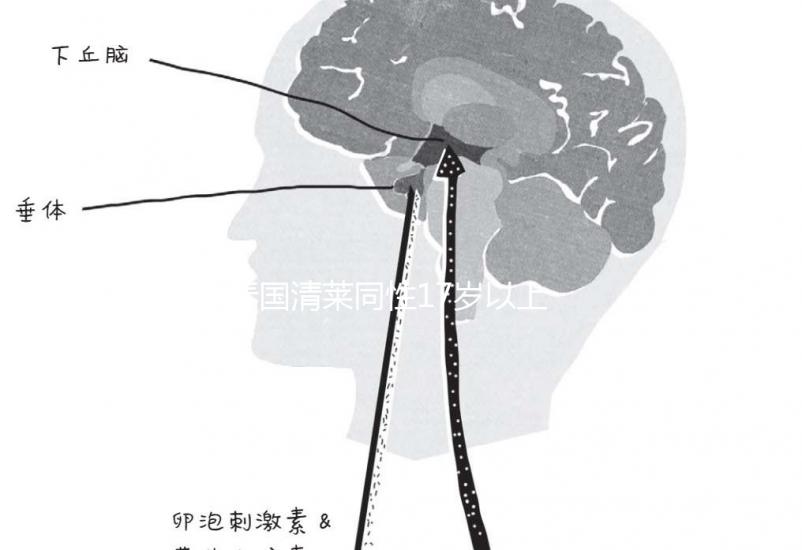 泰國清萊同性17歲以上便能結婚,在國內承不承認進來看