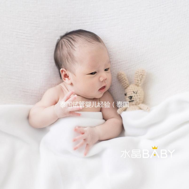 泰國試管嬰兒經(jīng)驗(泰國試管嬰兒經(jīng)驗多嗎)