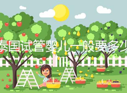 泰國(guó)試管嬰兒一般要多少錢(qián)（泰國(guó)試管嬰兒一般要多少錢(qián)費(fèi)用）