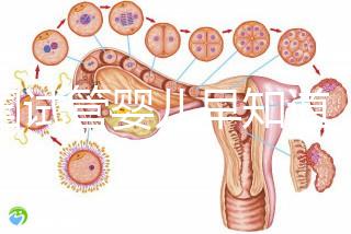 泰國試管嬰兒早知道,威它尼醫院Vejthani圖文攻略