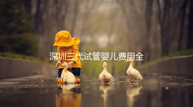 深圳三代試管嬰兒費用全揭秘，助你輕松掌握預算！