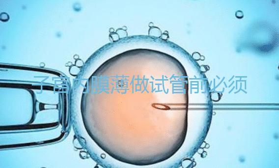 子宮內(nèi)膜薄做試管前必須先調(diào)理好，調(diào)理方法在這里自取！
