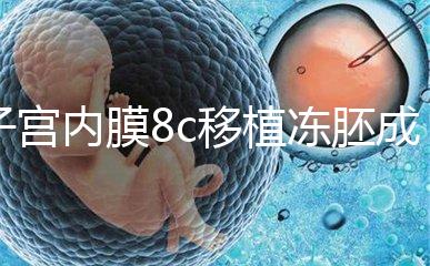 子宮內膜8c移植凍胚成功率不高，多和這些因素有關要知道