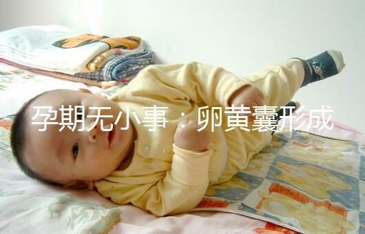 孕期無小事:卵黃囊形成到胎芽出現(xiàn)時(shí)間早了解早放心