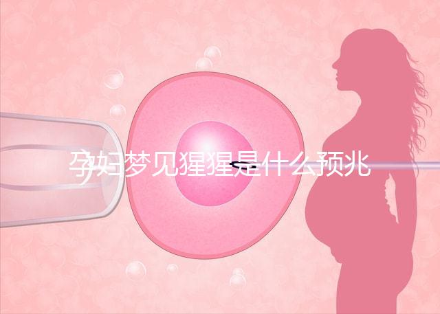 孕婦夢見猩猩是什么預(yù)兆?帶你了解相關(guān)胎夢解讀