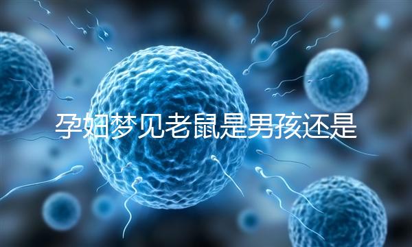 孕婦夢見老鼠是男孩還是女孩不再糾結(jié)，詳細(xì)預(yù)兆解讀看這