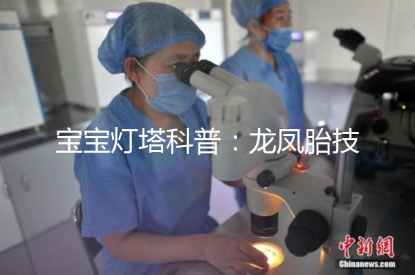 寶寶燈塔科普：龍鳳胎技術的原理和發展！