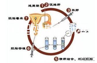 寶寶到媽媽身上就要吃解決方法來了，奶瓶作用大別忽略