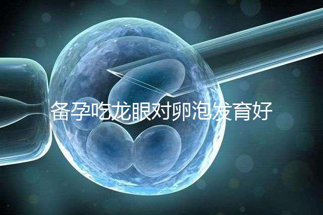 備孕吃龍眼對卵泡發育好處多，前提：發芽禁止食用