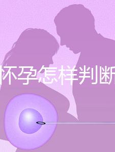 女性懷孕怎樣判斷出來(lái)