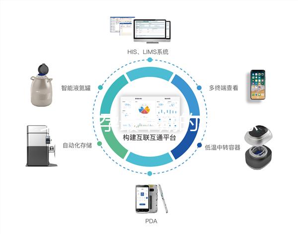 女性懷孕最早期的微妙感覺,同房5周腰酸疑似有身孕