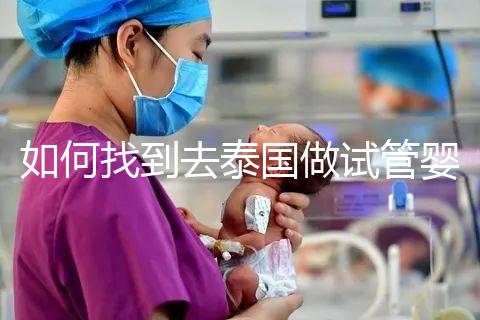 如何找到去泰國做試管嬰兒的本地翻譯？內(nèi)部搜索可靠的本地翻譯方法分析