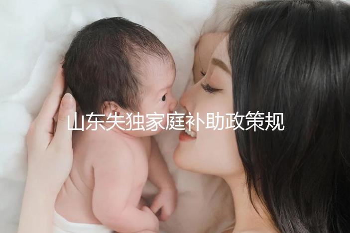 山東失獨家庭補助政策規定2024，濟南超過60歲每月領一千