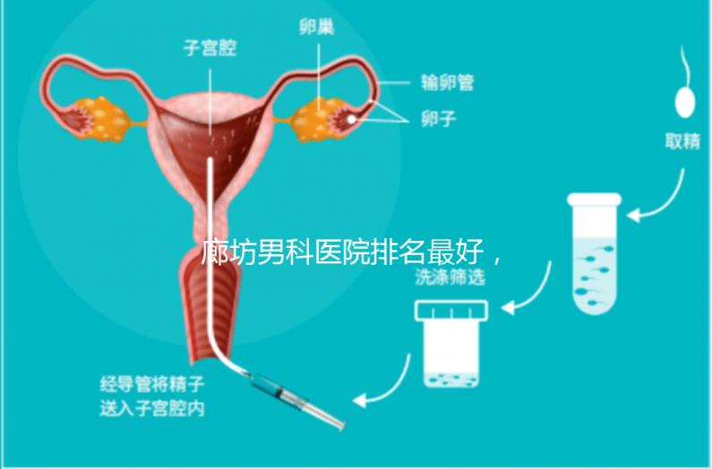 廊坊男科醫院排名最好，醫院出爐！廣陽這些機構可以排隊