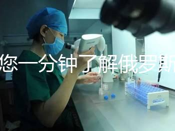 帶您一分鐘了解俄羅斯試管中心的費用明細，快速收集！