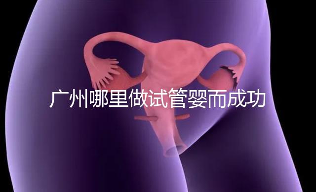 廣州哪里做試管嬰而成功率高？如何提高成功率？