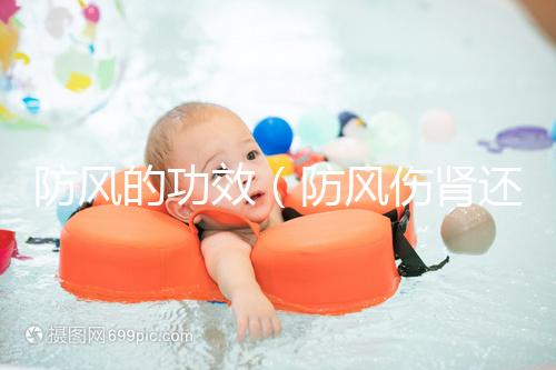 防風(fēng)的功效(防風(fēng)傷腎還是補腎)