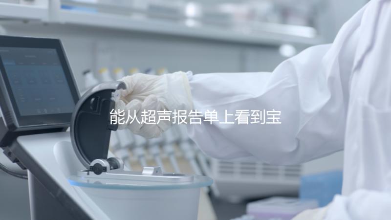 能從超聲報(bào)告單上看到寶寶的性別嗎?