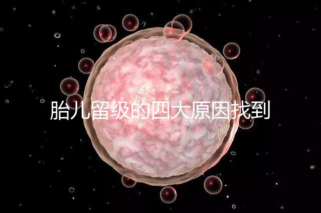 胎兒留級的四大原因找到了！多半和媽媽太懶不運動有關系