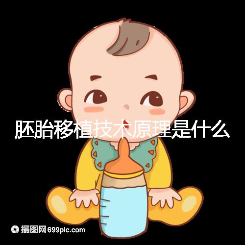 胚胎移植技術(shù)原理是什么？