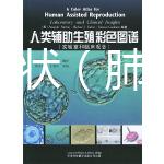 肺癌的癥狀(肺癌最明顯的征兆)