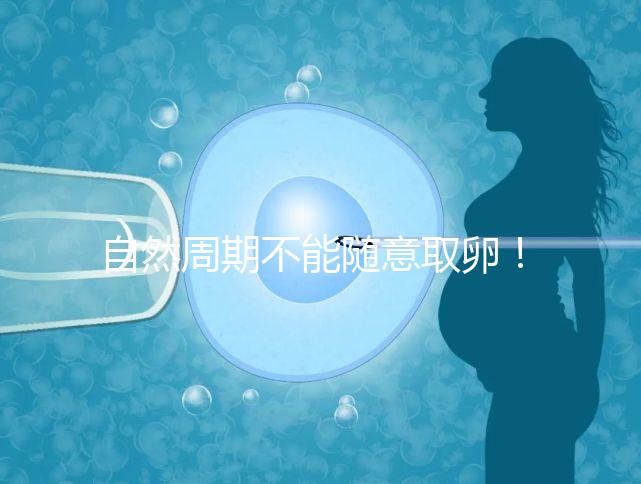 自然周期不能隨意取卵！滿足3點要求才能順利進行