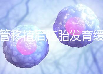 試管移植后胚胎發(fā)育緩慢,甚至胎停咋回事?3大高危因素要規(guī)避