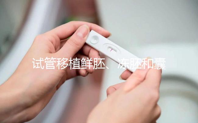 試管移植鮮胚、凍胚和囊胚哪個好？