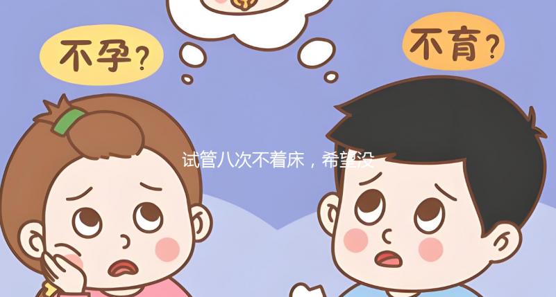 試管八次不著床，希望沒問題回答宮腔環境是關鍵