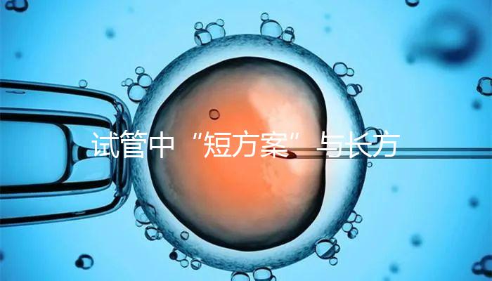 試管中“短方案”與長方案區(qū)別分析，時(shí)間并非唯一差異