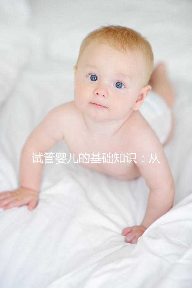 試管嬰兒的基礎(chǔ)知識(shí)：從原理到流程全解析