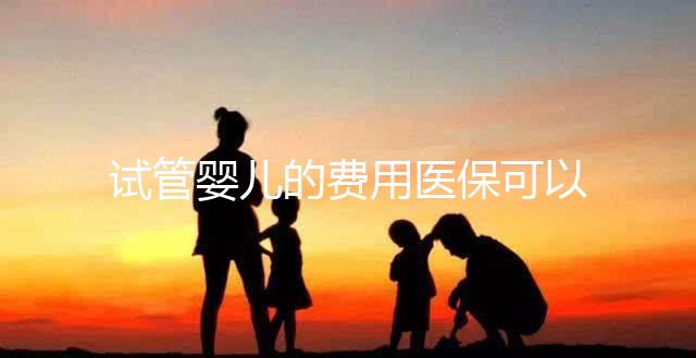 試管嬰兒的費用醫?？梢詧箐N嗎（試管嬰兒的費用醫?？梢詧箐N嗎多少錢）