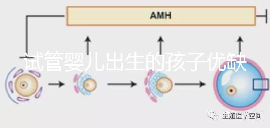 試管嬰兒出生的孩子優缺點(試管嬰兒出生的孩子優缺點是什么)