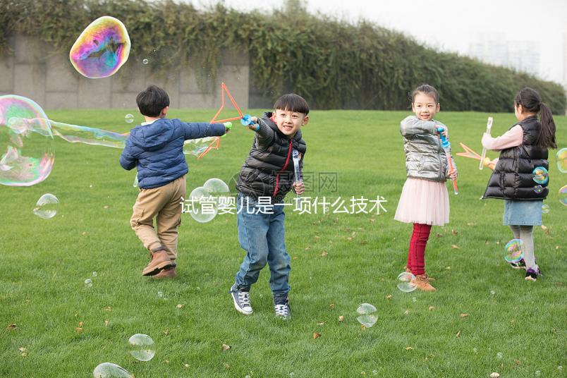 試管嬰兒是一項什么技術(shù)？