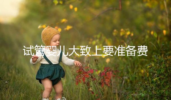 試管嬰兒大致上要準(zhǔn)備費(fèi)用是多少