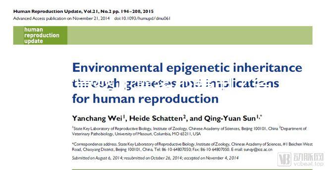 試管嬰兒需多少費用？省錢攻略建議收藏！