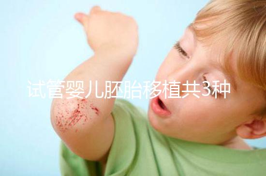 試管嬰兒胚胎移植共3種方案，成功率、技術(shù)有啥不一樣？