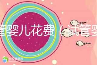 試管嬰兒花費（試管嬰兒花費多少錢？）