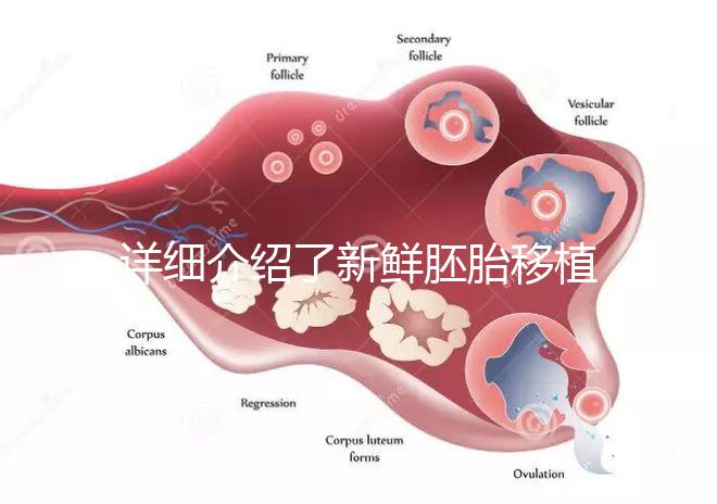 詳細(xì)介紹了新鮮胚胎移植后的生素對子宮的容受性是否好看完就清楚了