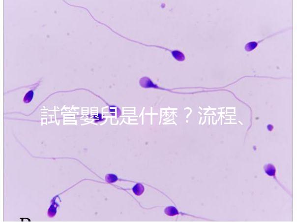 試管嬰兒是什麼?流程、費用、補(bǔ)助及人工受孕差異全解析!