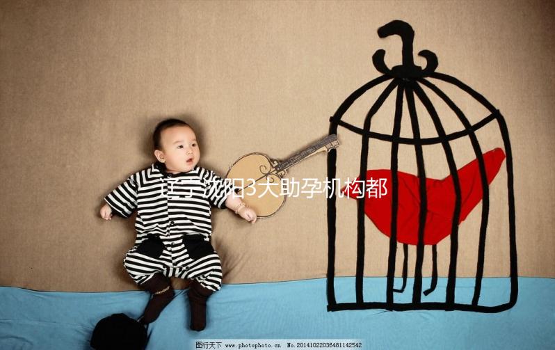 遼寧沈陽3大助孕機構(gòu)都在這，來看看你知道幾家