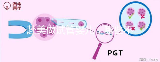 赴美做試管嬰兒，哪些不孕類問題更容易成功？