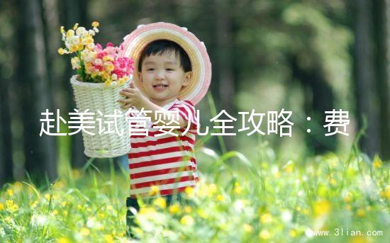 赴美試管嬰兒全攻略：費用、流程、成功率一次看懂