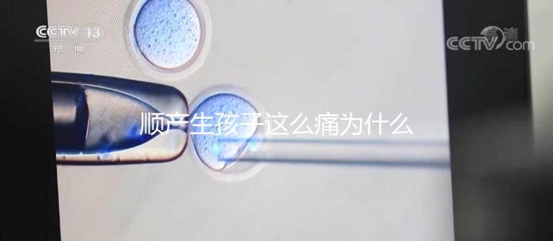 順產生孩子這么痛為什么大家能忍，這些真相非常戳心