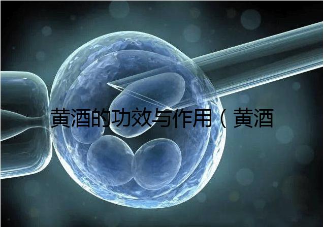 黃酒的功效與作用(黃酒配什么最壯陽)