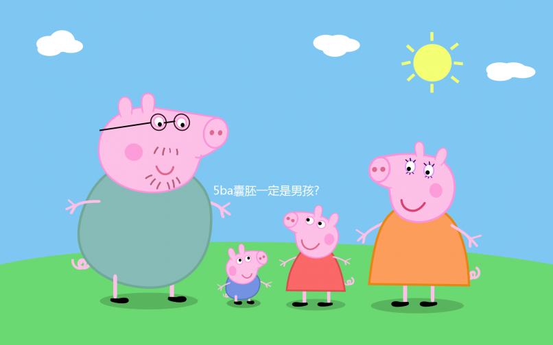 5ba囊胚一定是男孩?經(jīng)驗之談:質(zhì)量才是核心