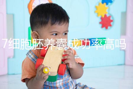 7細胞胚養(yǎng)囊成功率高嗎？聽聽做過試管的姐妹怎么說